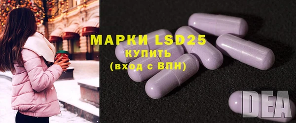 индика Каменка
