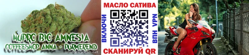 мега рабочий сайт  Саки  ТГК жижа 
