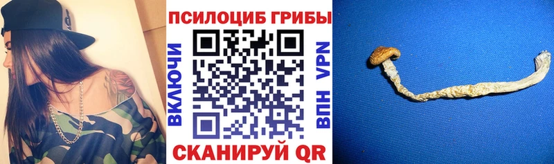 Псилоцибиновые грибы Magic Shrooms  закладка  дарк нет телеграм  Саки  blacksprut tor 